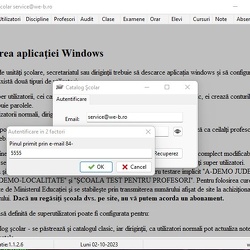 Acces Aplicatie Windows